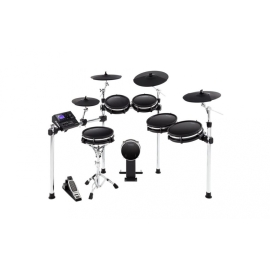 Alesis DM10 MKII Pro Kit Электронная ударная установка