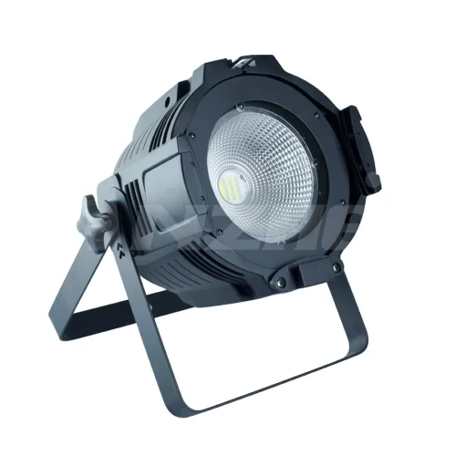 PROCBET PAR LED 200 COB RGBW MKII Светодиодный прожектор, 200 Вт., RGBW