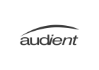 Audient