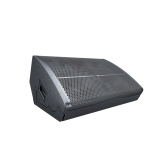 Audiocenter WM210-DSP Активный сценический монитор, 1600 Вт, 2x10"