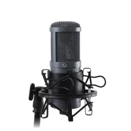 AuraSonics AD22S Stereo Студийный стерео-микрофон