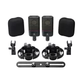 Austrian Audio OC18 Dual Set Plus Подобранная пара студийных микрофонов