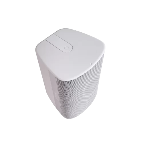 Biamp DX-S8-W Настенная АС, 30/60/120 Вт.-100 В; 150 Вт. - 8 Ом., 8"