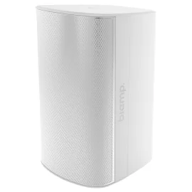 Biamp EX-S10-UB-W Настенная АС, 30/60/120 Вт.-100 В; 300 Вт. - 8 Ом., 10", IP54