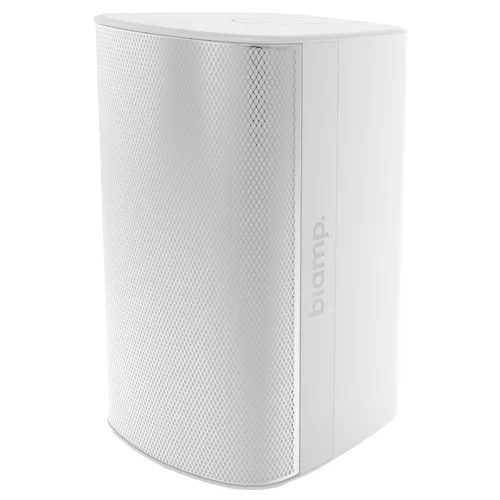 Biamp EX-S10-UB-W Настенная АС, 30/60/120 Вт.-100 В; 300 Вт. - 8 Ом., 10", IP54