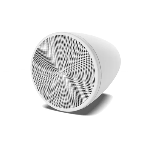 Bose DesignMax DM10P-SUB White Подвесной сабвуфер, 40/80/150 Вт., 70/100 В, 10"