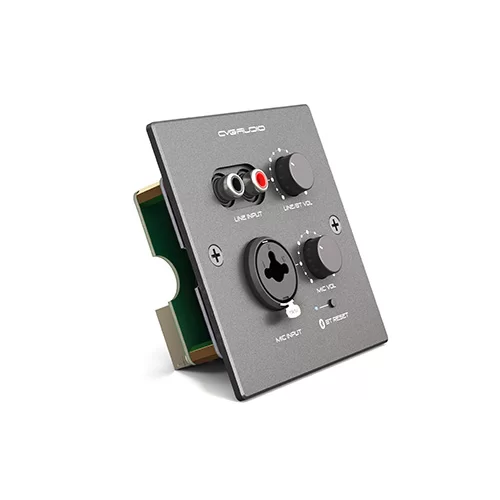 CVGaudio PW-IN/BL Настенная панель удаленного подключения