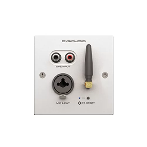CVGaudio PW/EX-IN/W Настенная панель удаленного подключения