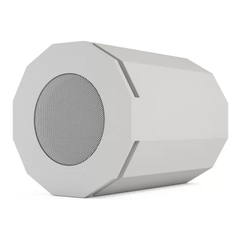 CVGaudio SUBone model DH-8W/CR Пассивный сабвуфер, 150 Вт, 8"