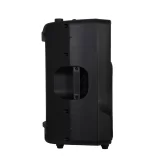 Fonestar SB-3612 Пассивная АС, 300 Вт., 12"