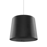 Genelec 4436AM Активная подвесная АС, 50 Вт., 5", Dante/AES67