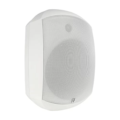 Intrend ITSPK-MSK6-W Настенная АС, 7,5/15/30/60 Вт., 6,5", 100V/70V/8Ом, IP66