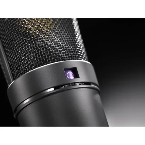 Neumann U 89 I MT Студийный микрофон