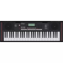 Roland E-X10 Синтезатор с автоаккомпанементом