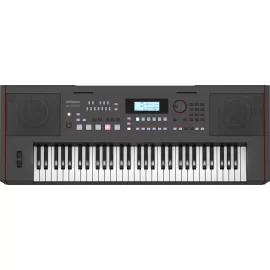 Roland E-X50 Синтезатор с автоаккомпанементом