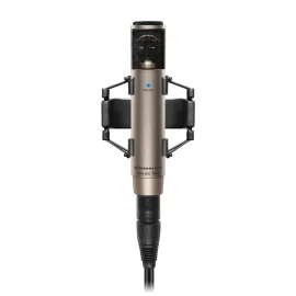 Sennheiser MKH 800 Twin Конденсаторный студийный микрофон