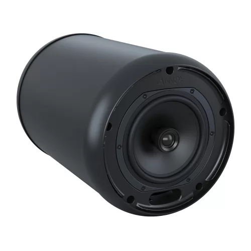 Tannoy OCV 6 Подвесной громкоговоритель, 60/120 Вт., 6 дюймов