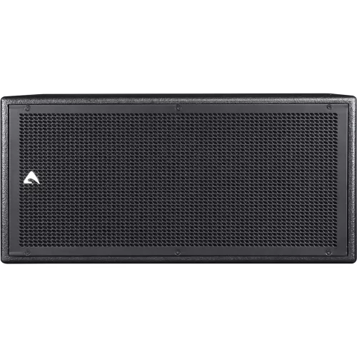 Axiom SW210P Пассивный сабвуфер, 700 Вт., 2x10"