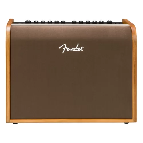 Fender Acoustic 100 Акустический комбоусилитель, 100 Вт., 8"