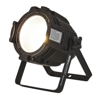 Involight COBPAR100W Прожектор PAR LED 1х100 Вт. WHITE