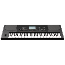 KORG Pa300 Интерактивная рабочая станция