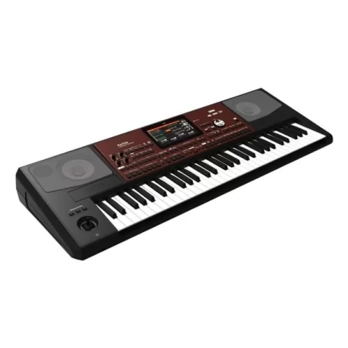 KORG Pa700 Интерактивная рабочая станция