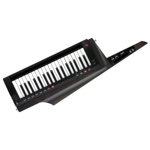 KORG RK100S-2 BK Наплечный синтезатор