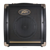 Peavey Ecoustic E20 Комбоусилитель для акустической гитары, 20 Вт., 8 дюймов 