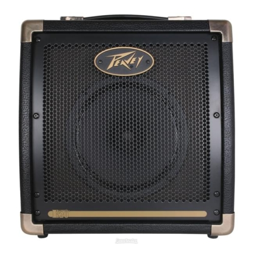 Peavey Ecoustic E20 Комбоусилитель для акустической гитары, 20 Вт., 8 дюймов