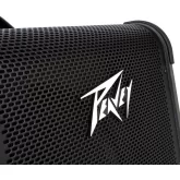 Peavey Max 100 Басовый комбоусилитель, 100 Вт., 10 дюймов