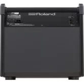 Roland PM-200 Комбо для барабанщиков, 180 Вт., 12"