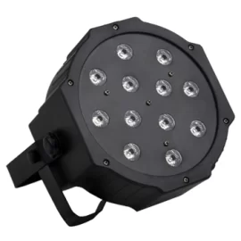 Stage4 DJPAR 12x3F  Светодиодный светильник, 12 х 3 Вт LED, RGB