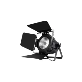 Stage4 Stage PAR COB150XW Светодиодный прожектор, 1 х 150Вт, COB, RGBW