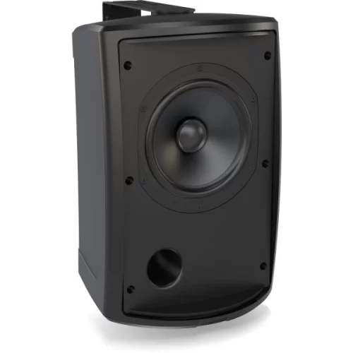 Tannoy AMS 6ICT Пассивная всепогодная АС, 120Вт, 16Ом., 70В/100В - 60Вт