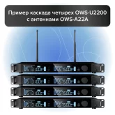 Октава OWS-U2200D01-B PRO Радиосистема с 2-мя поясными передатчиками и 2-мя головными микрофонами